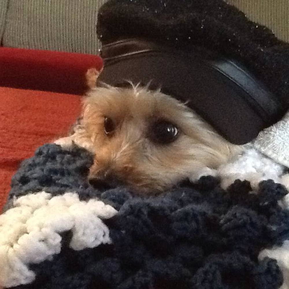 Meet your Posher, Roxanne